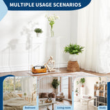 Acrylic Narrow Console Table - 2-Tier Clear Entry Desk for Entryway & Living Room