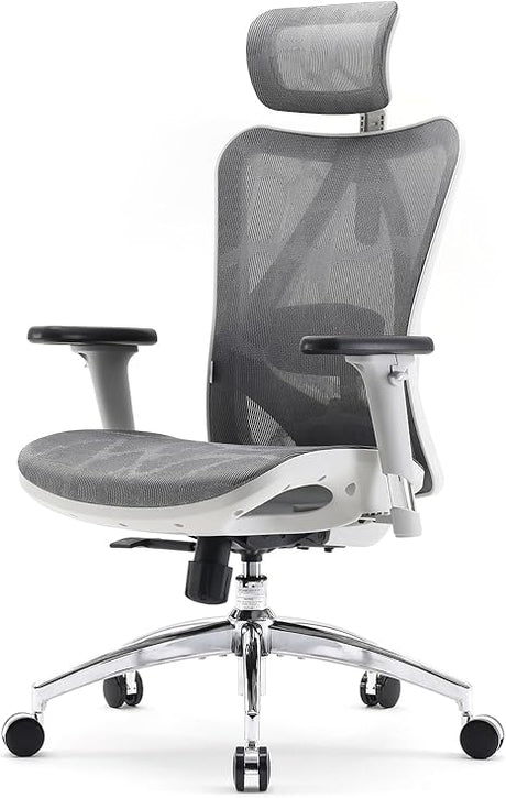 M57 Ergonomic Office Chair with 3 Way Armrests Lumbar Support and Adjustable Headrest High