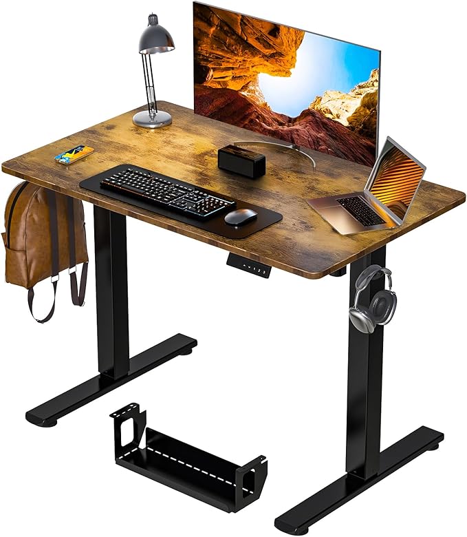 Desk Height Adjustable Electric Stand Up Desks [48 x 24 Inch] - Ergonomic Sit Stand Desk Rising Desks for Home Office, Computer Desk, Stand Desk Workstation with Cable Management