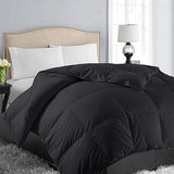 All Season Oversized King Soft Quilted Down Alternative Comforter