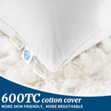 AiAngu Canadian Luxury Goose Down Pillow Queen Size - 900 Fill Power, 100% Cotton with Teflon Shell- Ultra Comfort Sleep Pillows - Bed Pillows for Back, Stomach, Side Sleeper(White,Queen(Pack of 1))