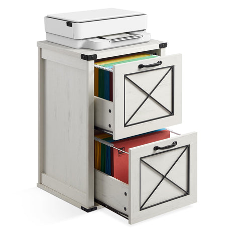 File Cabinet, Filing Cabinet with 2 Drawers, Printer Stand, Letter Size, Hanging File Folders