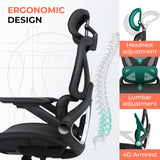 Ergonomic Mesh Office Chair with Adjustable Lumbar Support