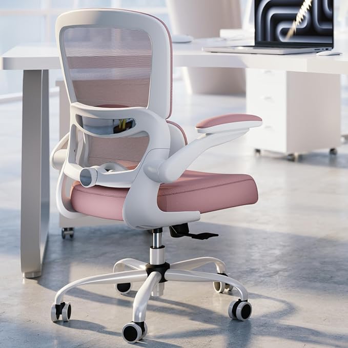 Office Chair - Ergonomic Desk Chair with Adjustable Lumbar Support, Mesh Computer