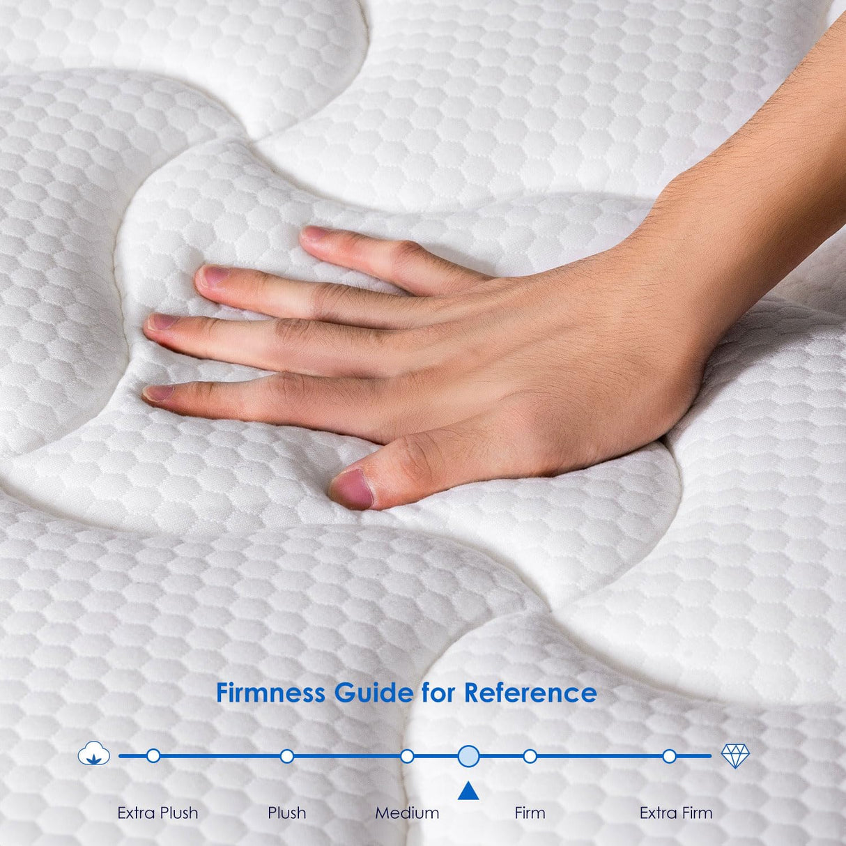 QUEEN ROSE Queen Size Mattress, 12 Inch Pillow Top Hybrid Mattress in a Box