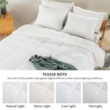 Double-Sided 88x90 Queen Size Comforter Set Summer Boho White, 3 Pieces