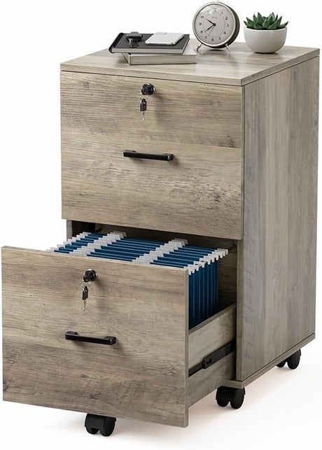 2 Drawer File Cabinet with Lock, Wood Rustic Gray File Cabinet for Letter Size File Folders with Tabs,