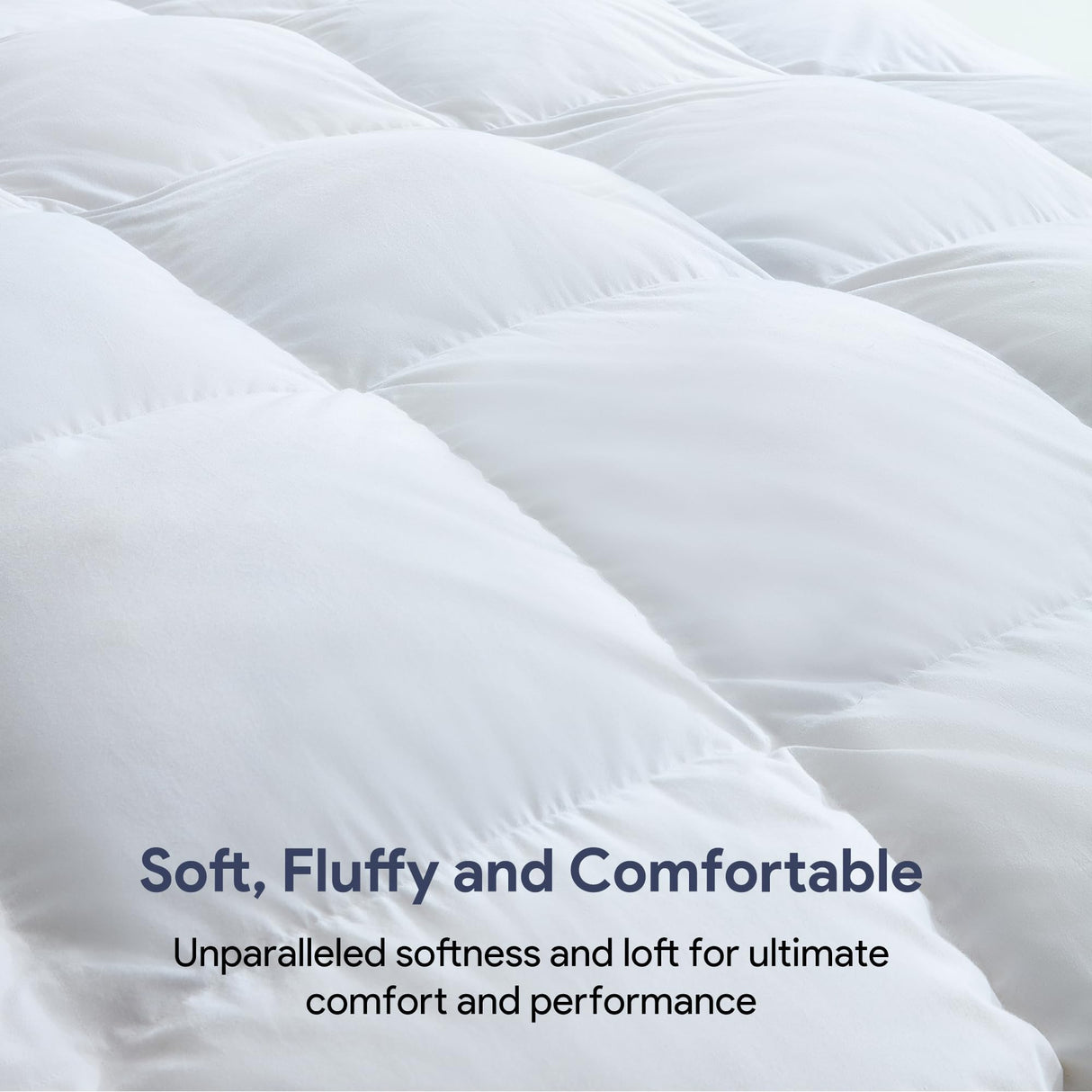 Maple&Stone Feather Down Comforter Queen Size All Season White Down Duvet Insert Ultra Soft 100% Cotton Cover Fluffy Queen Comforter 90 x 90 Inches
