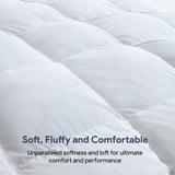 Maple&Stone Feather Down Comforter Queen Size All Season White Down Duvet Insert Ultra Soft 100% Cotton Cover Fluffy Queen Comforter 90 x 90 Inches