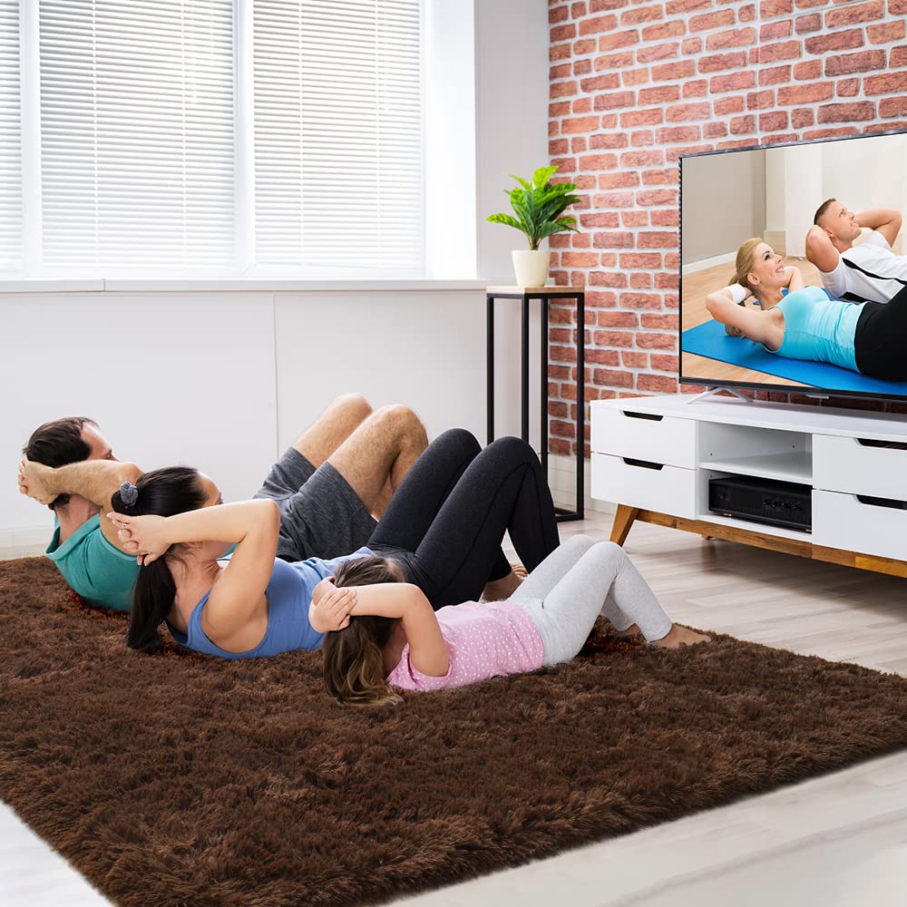 Shag Fluffy Area Rug for Bedroom Girls Living Room, Extra Soft and Fuzzy