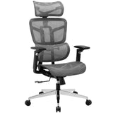 Ergonomic Office Chair High Back Home Office Desk Chairs, Adjustable Back & Lumbar