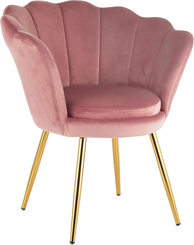 Padded Armchair with Shell Back in Powder Velvet with Gold Legs