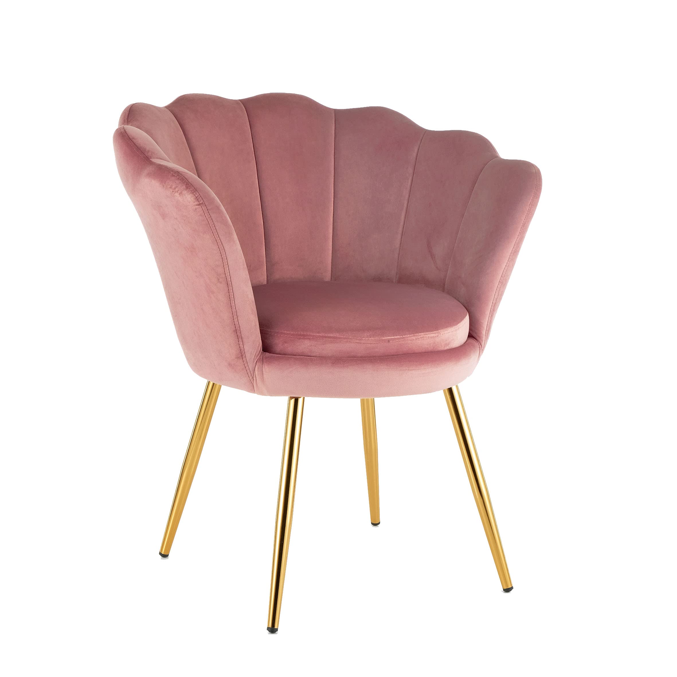 Padded Armchair with Shell Back in Powder Velvet with Gold Legs