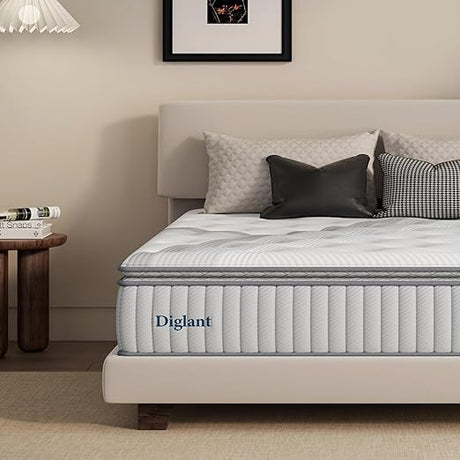 Queen Mattresses, DIGLANT 14 Inch Plush Hybrid Mattress, Queen Size Memory Foam