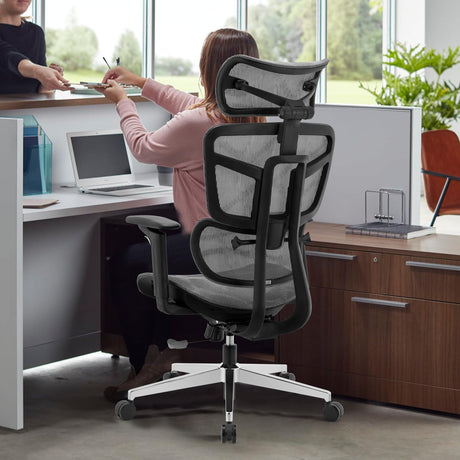 Ergonomic Office Chair High Back Home Office Desk Chairs, Adjustable Back & Lumbar