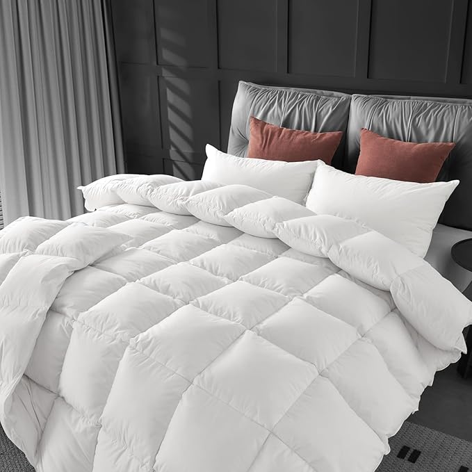 Comforter Queen Size - Winter Cream White Down Duvet Insert, Fluffy Warm Breathable