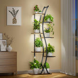 LumiCurve 62 – 7 Tier S Shaped Plant Stand with Grow Lights