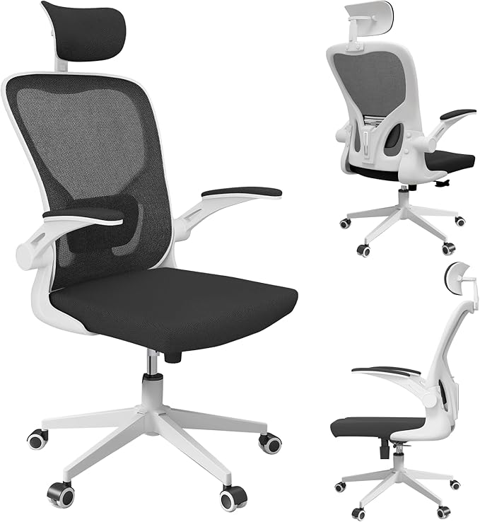 Home Desk Office Chair, High Back Ergonomic Desk Chair with Lumbar Support