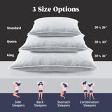 Goose Feathers Down Pillows, Hotel Collection Standard Pillows for Sleeping