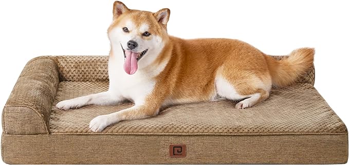 Memory Foam Orthopedic Dog Bed Medium Size Dog