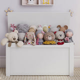 Toy Box, Spacious Storage and Organization Bin, Toy Storage Organizer for Living Room