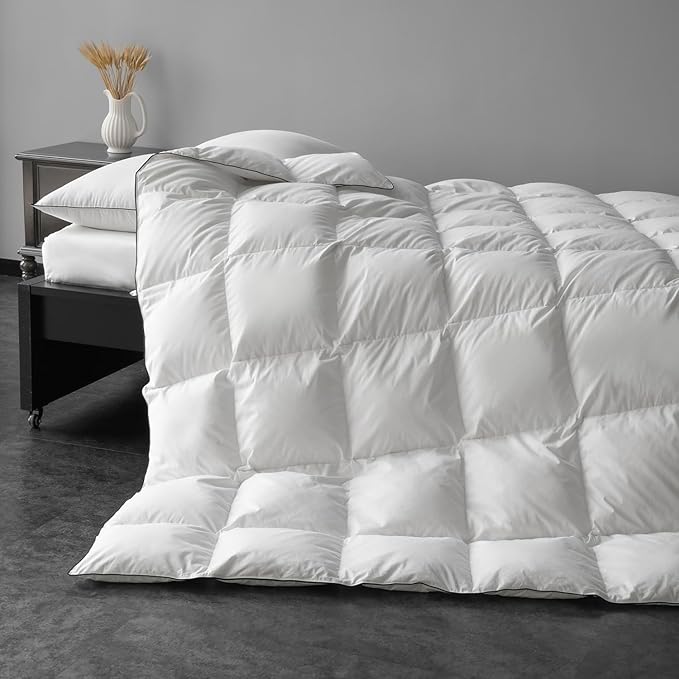 Down Comforter Fluffy Duvet Insert Queen Size, All Season Ultra-Soft Hotel Quality