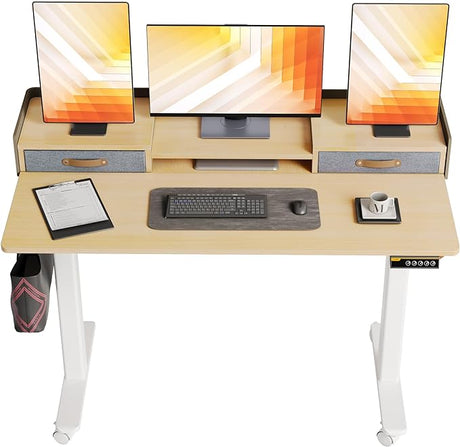 Standing Desk with Drawers, Stand Up Electric Standing Desk Adjustable Height