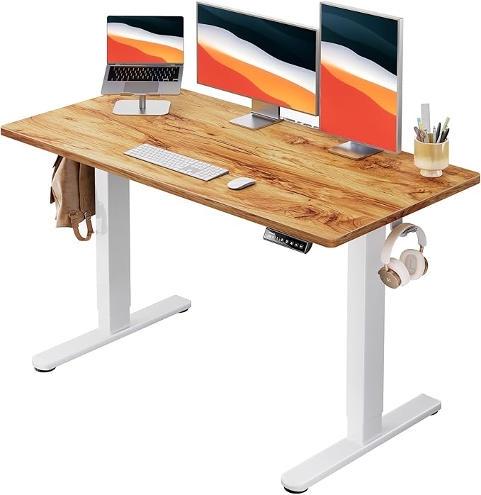 Electric Standing Desk, 48" x 24" Whole Piece Desktop, Adjustable Height Computer Desk, 4 Height Memory Settings, Sit Stand Up Desk for Home Office, White