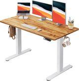 Electric Standing Desk, 48" x 24" Whole Piece Desktop, Adjustable Height Computer Desk, 4 Height Memory Settings, Sit Stand Up Desk for Home Office, White