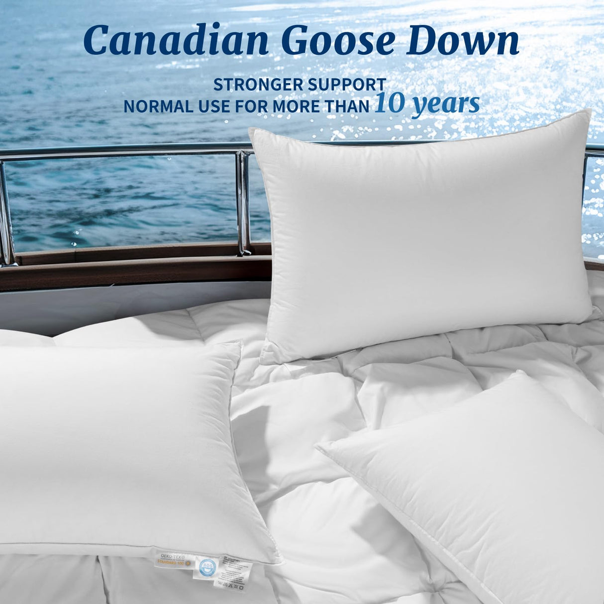 AiAngu Canadian Luxury Goose Down Pillow Queen Size - 900 Fill Power, 100% Cotton with Teflon Shell- Ultra Comfort Sleep Pillows - Bed Pillows for Back, Stomach, Side Sleeper(White,Queen(Pack of 1))