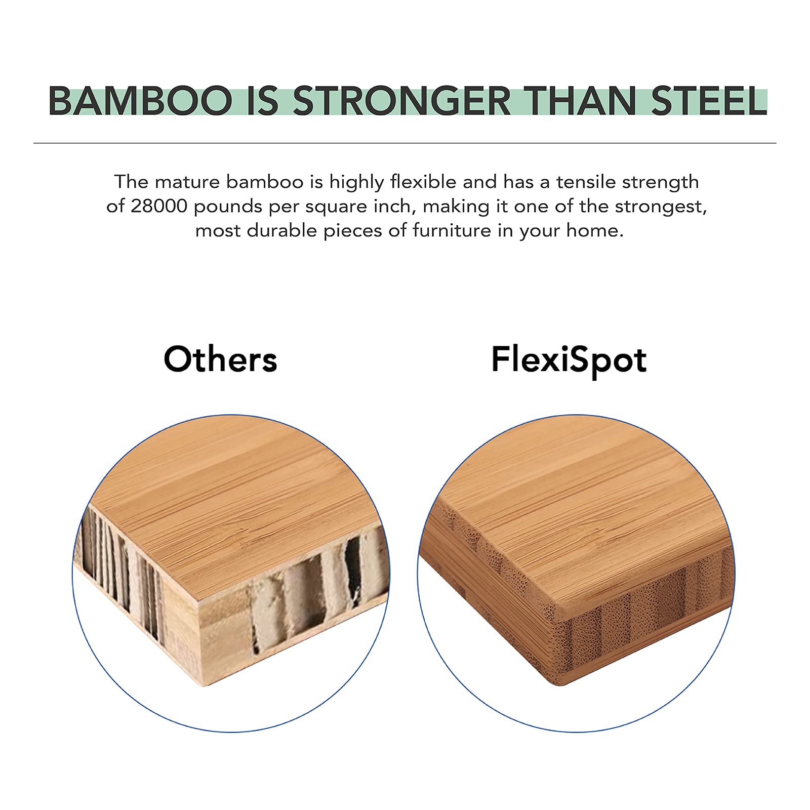 Pro Bamboo 3 Stages Dual Motor Electric Standing Desk 55x28 Inches
