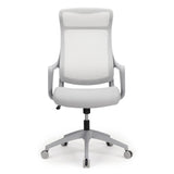 Lenzer Mesh High-Back Task Chair, Gray, BIFMA Compliant