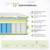 12 Inch Full Mattress, Hybrid Mattress in a Box, Gel Memory Foam and Pocket Springs