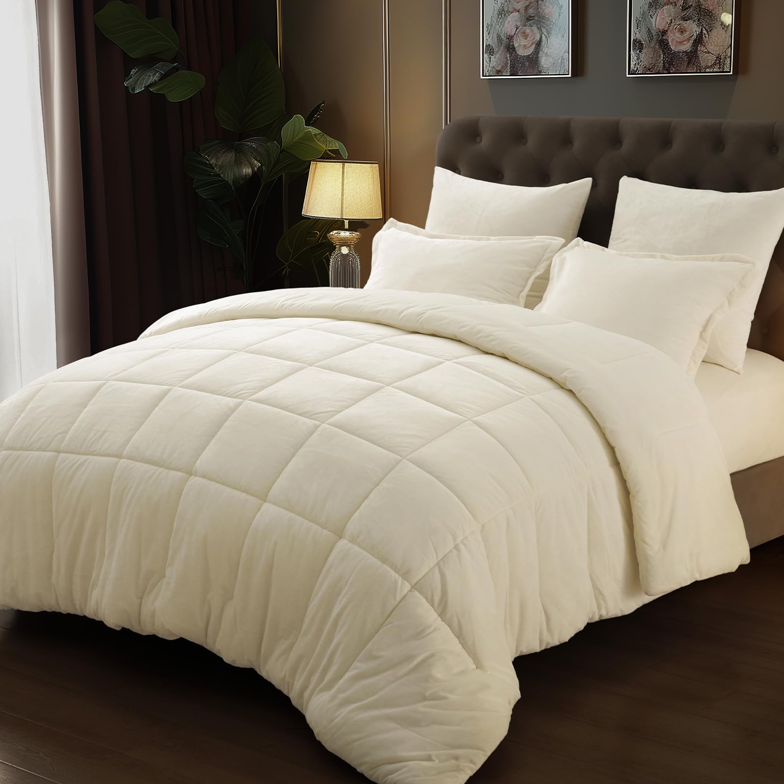 Double-Sided Velvet Comforter Set Queen Size, 5 Piece Soft Luxury Winter Warm Bedding