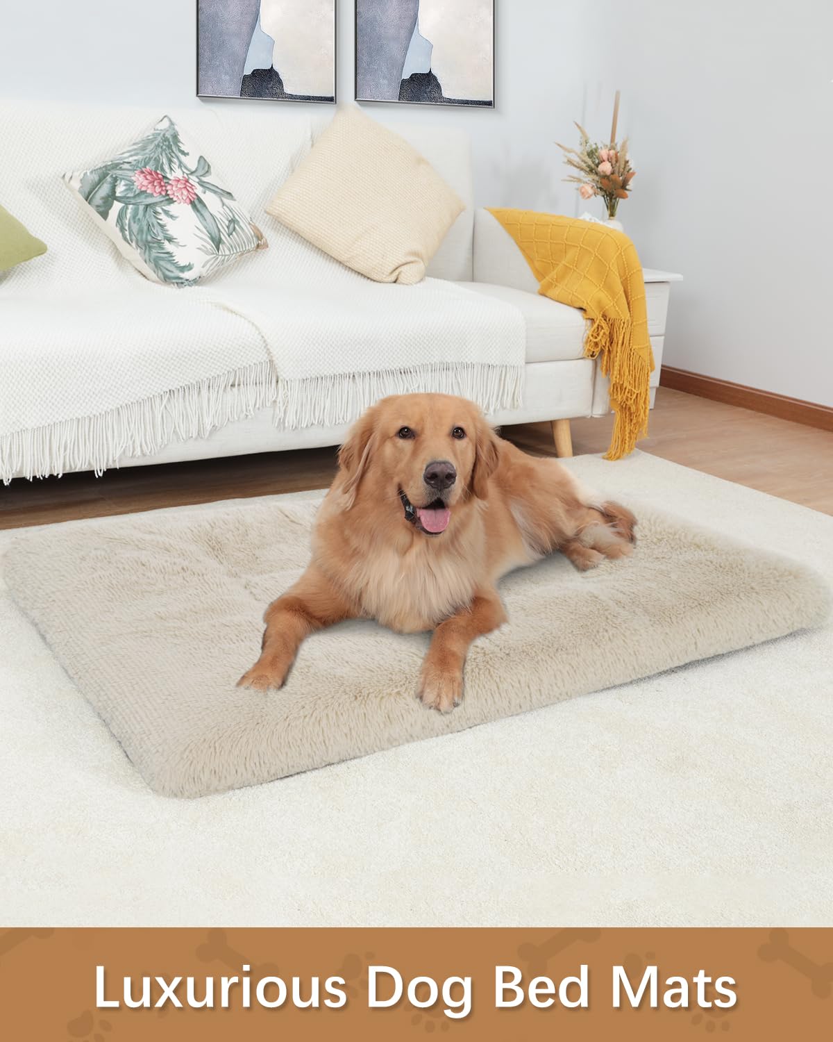 Orthopedic Dog Bed for Medium, Small Dogs Breeds, Dog Sofa beds