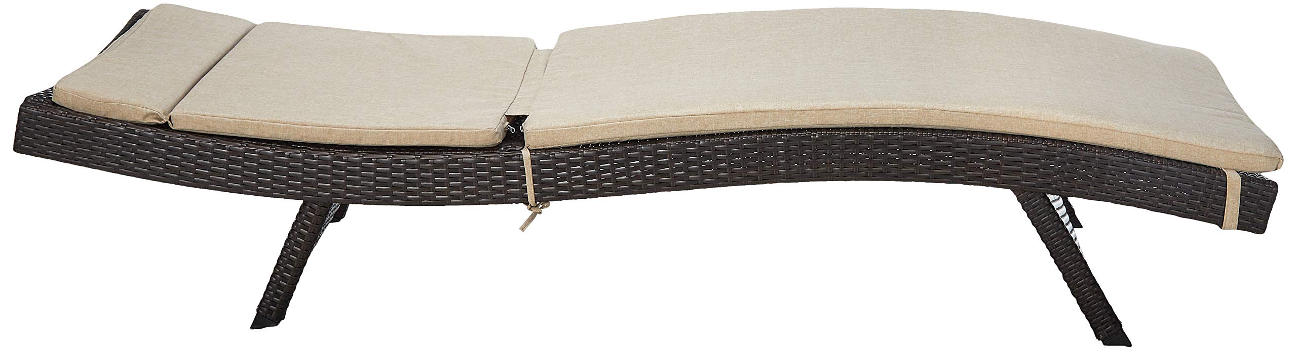 Salem Outdoor Wicker Adjustable Chaise Lounge with Cushions