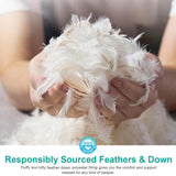 Medium Firm Feathers Down/Poly Pillow Standard Size Pack of 1
