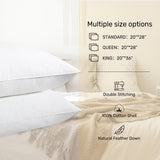 Goose Feather Down Pillows for Sleeping, Hotel Collection Pillow Standard/Queen Size Set