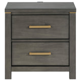 Benjara Ren Nightstand, 2 Drawers, Tone Accents, Bar Handles, Dark, Gray and Brass