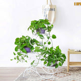 3 Tier Tall Plant Stand Outdoor Flower Stand Flower Pot Holder Display for