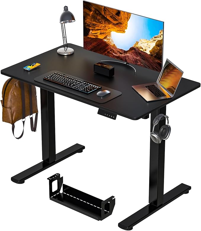 Desk Height Adjustable Electric Stand Up Desks [48 x 24 Inch] - Ergonomic Sit Stand Desk Rising Desks for Home Office, Computer Desk, Stand Desk Workstation with Cable Management