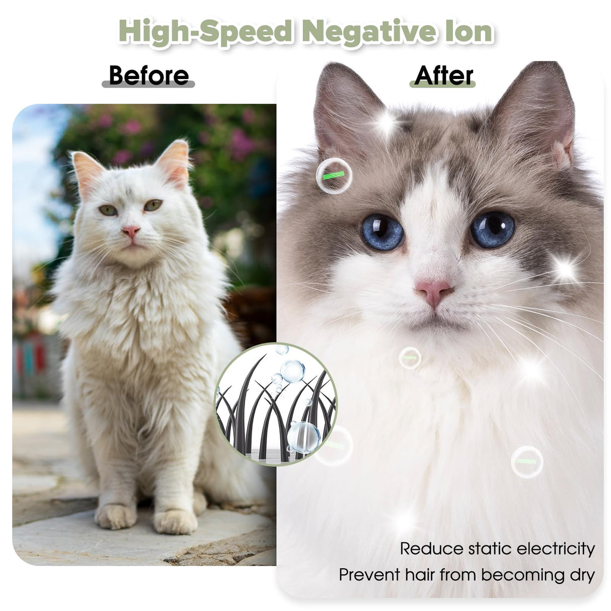 52L Automatic Pet Dryer Box - 5 Modes, Adjustable Temperature & Timer