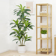 Dracaena Plant Artificial Tree 5Ft Tall Fake Tropical Floor Plants Potted (Real Touch)