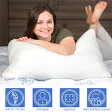 2 Pack King Size Rayon Derived from Bamboo Pillows for Sleeping