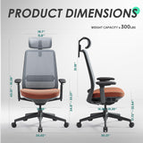 Ergonomic High Back Mesh Office Chair with Adjustable Lumbar Support