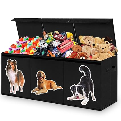 Large Toy Box