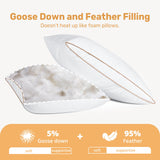 Natural Goose Feathers and Down Pillow - Queen Size Set of 2, Medium Firm Pillow