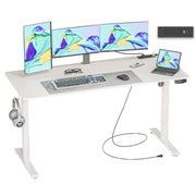 55 x 24 inch Adjustable Electric Standing Desk (3AC, USB, Type-C)