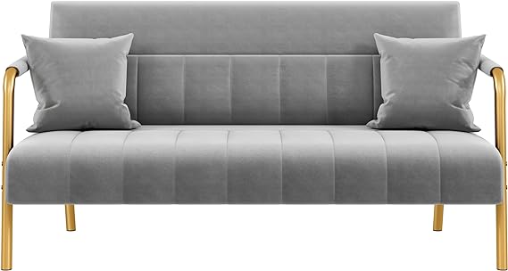 56.5" W Modern Loveseat 2 Seater Sofa Luxurious Velvet Fabric Couch