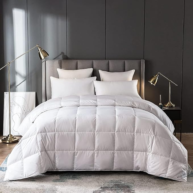 Down Comforter Blanket Duvet for Summer/Warm Weather,Ultra Soft Fabric, Lake Blue King Size